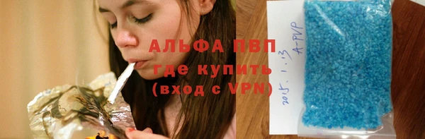 стафф Арсеньев