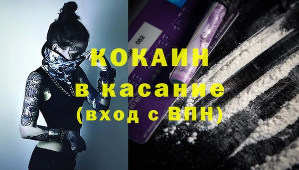 стафф Арсеньев